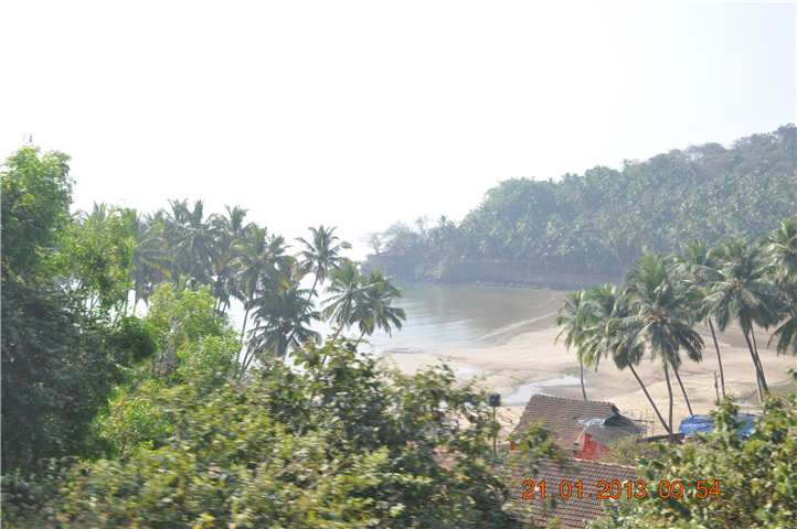 click here for See More Photos